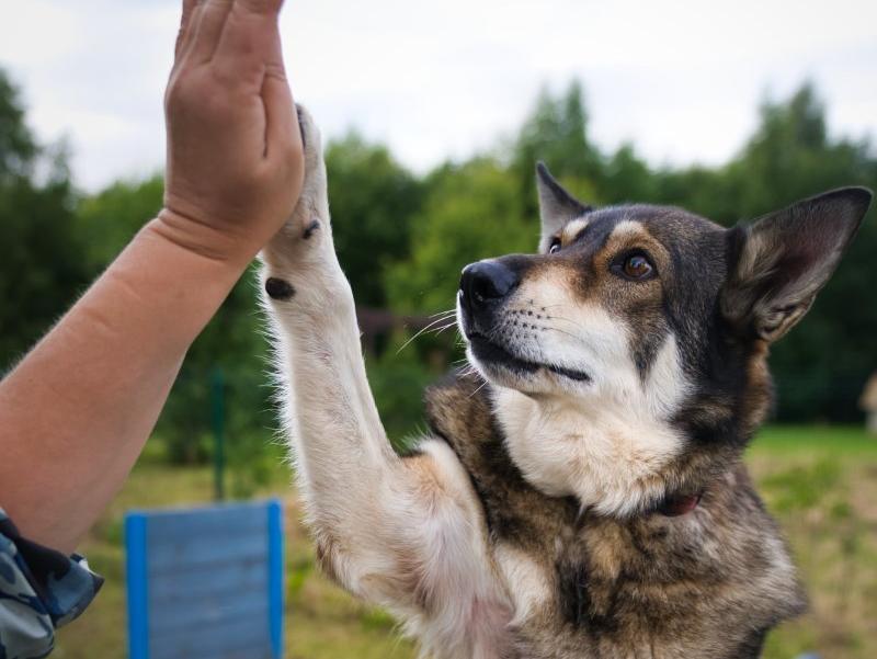 Айна, 5 лет
